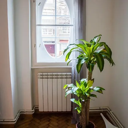 Apartment Ana Center *